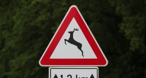 traffic-sign-wild