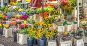 Stand-Markt-Blumen-Verkauf