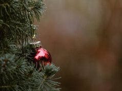 Christbaum-Weihnachten-Baum