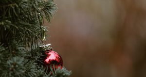 Christbaum-Weihnachten-Baum